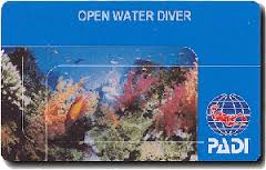 PADI Open Water Diver License